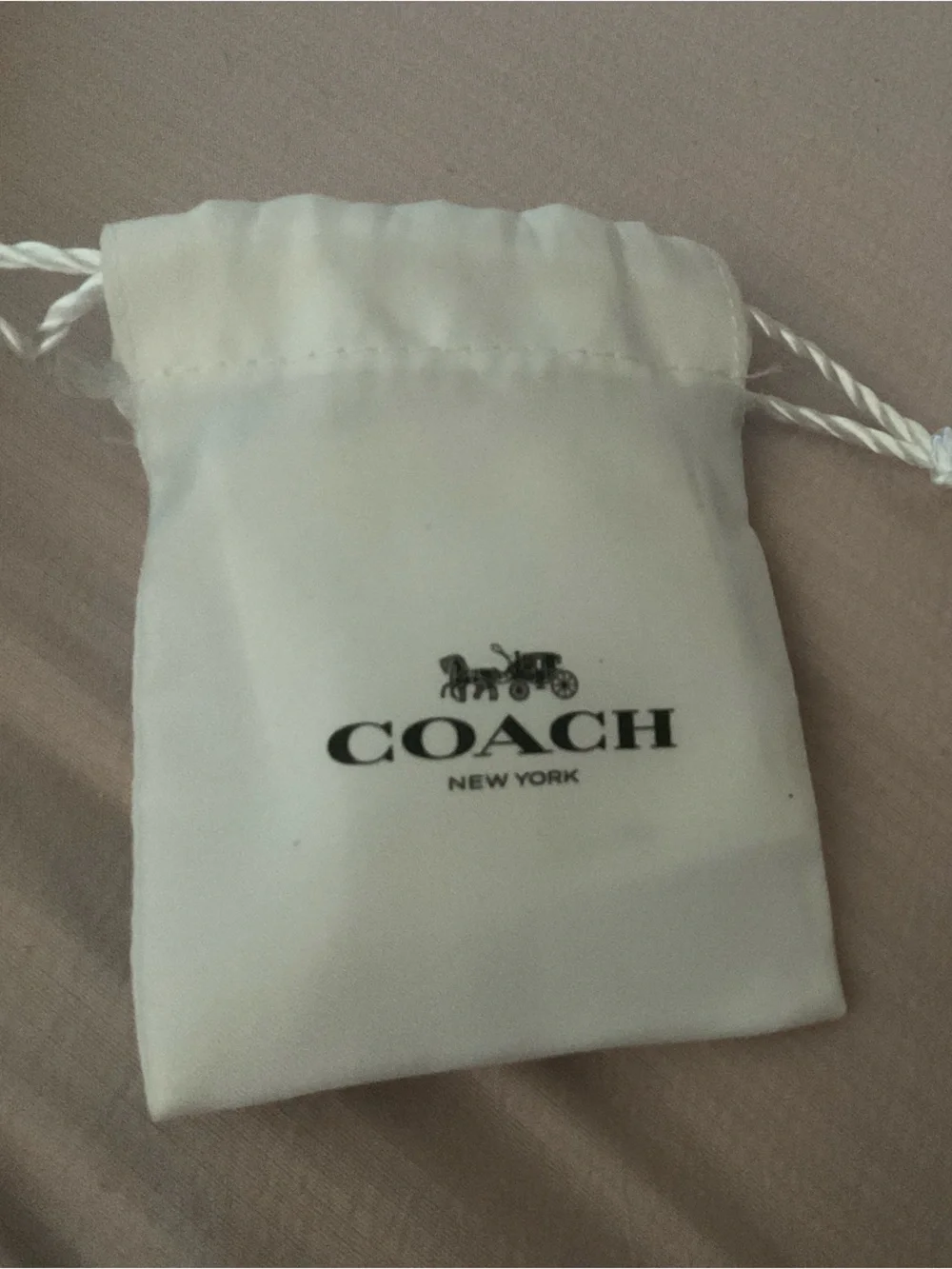 Coach Green Dinosaur Charm Key Clip